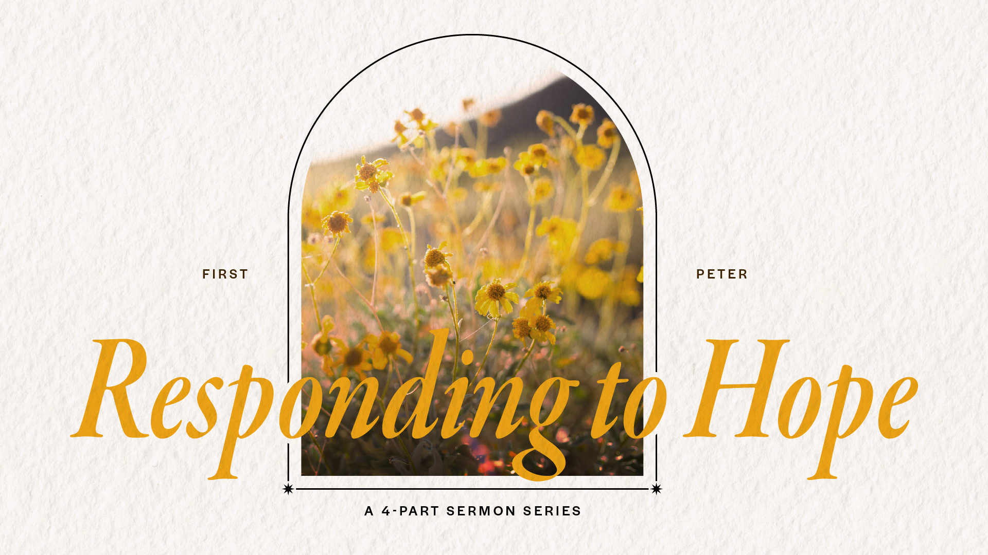 CBC — 1 Peter Series gallery image